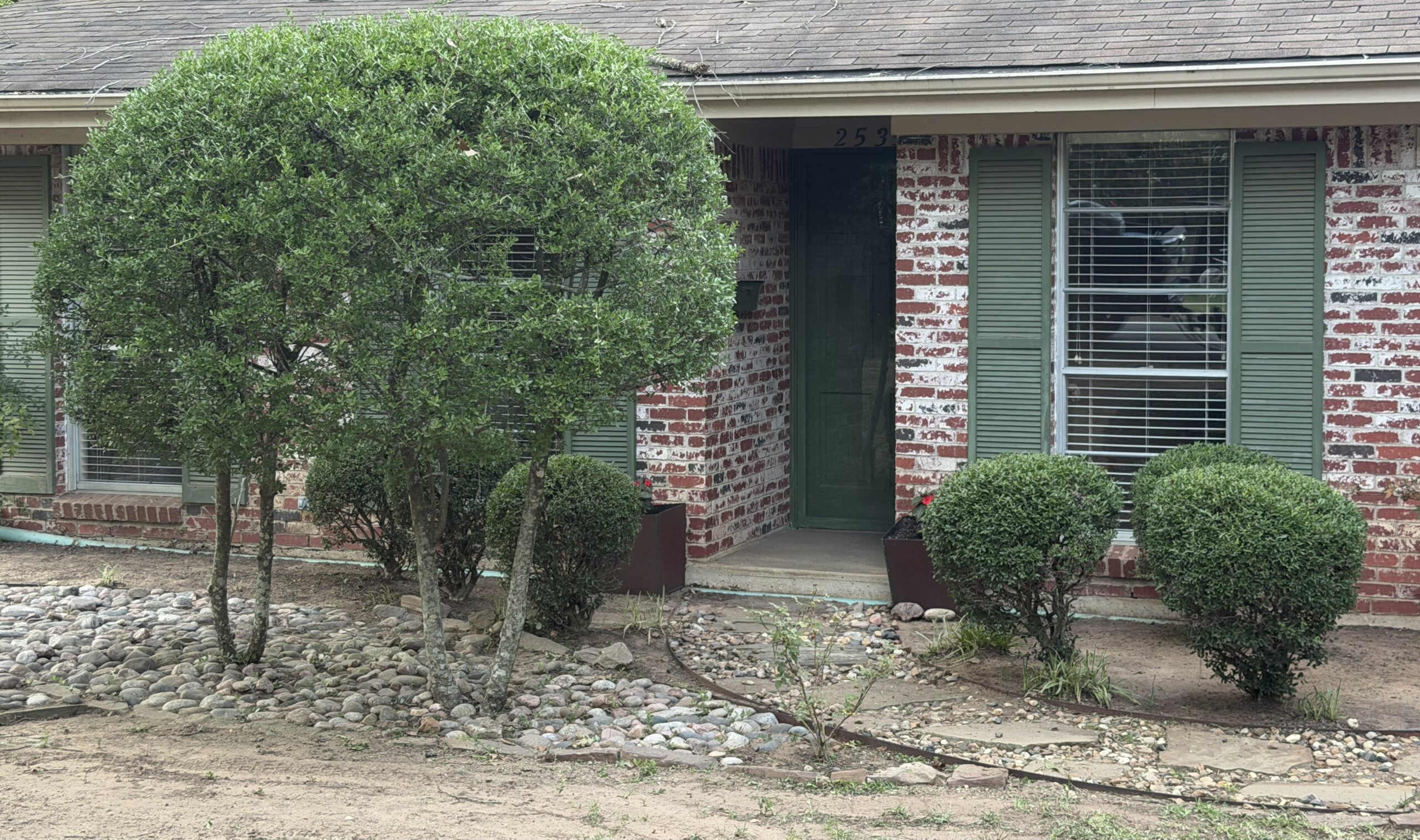 Commercial property maintained by Revolution Lawn Care